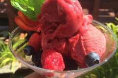 Mixed Berry Sorbet