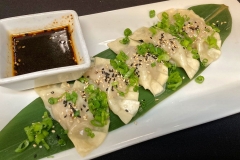Gyoza & Sauce
