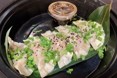 Gyoza